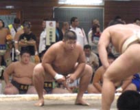 相撲競技　少年男子　茨城選抜