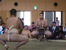 相撲競技　成年男子　茨城選抜