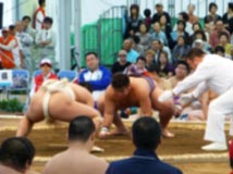 相撲競技 成年男子