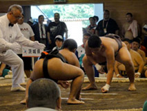 相撲競技 少年男子