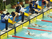 水泳競技（競泳） 成年女子