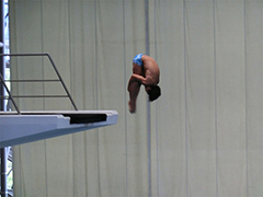 水泳競技（飛込）成年男子